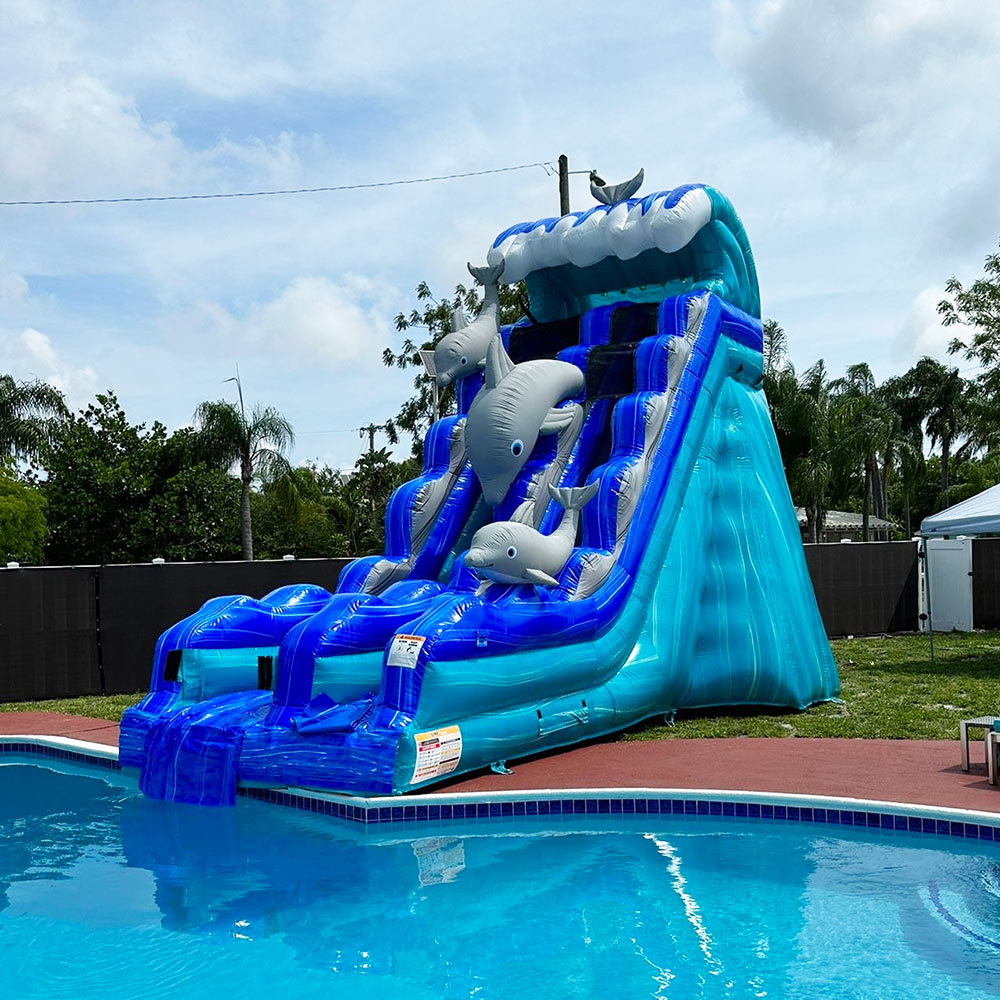 jumpers paradise rent miami Water Slides Dolphin 2